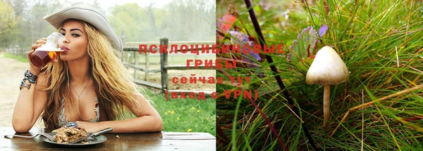 мдпв Беломорск