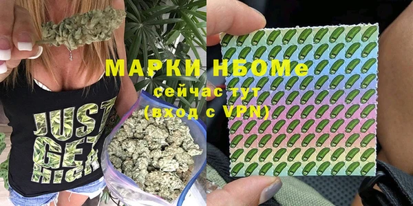 гидра Балахна