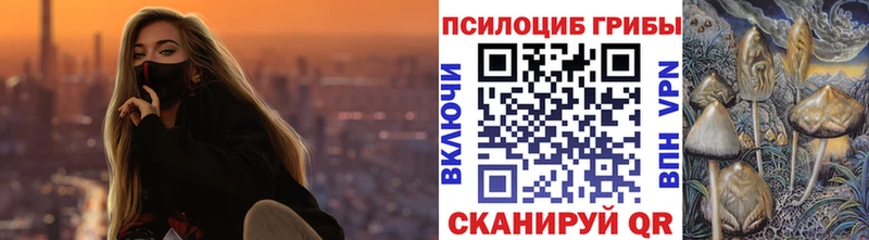 Галлюциногенные грибы прущие грибы  Новохопёрск 